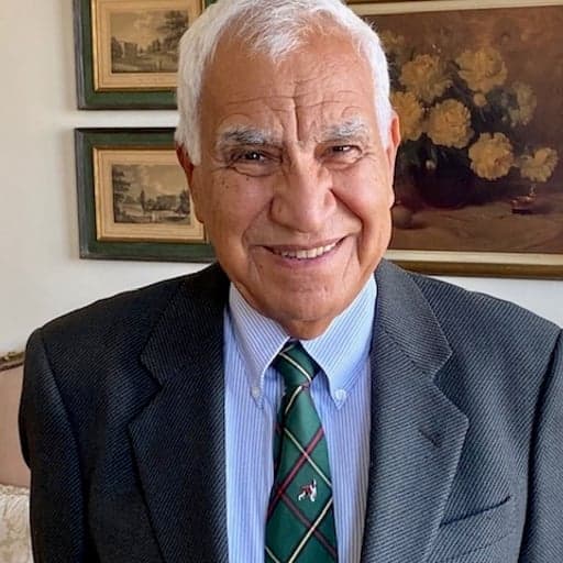Hemmat Safwat