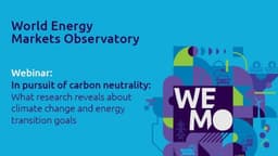 Webinar recording: In pursuit of carbon neutrality