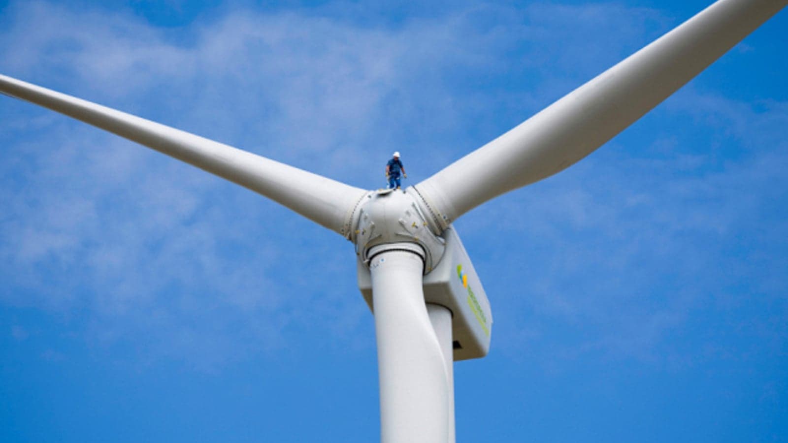 Business leaders call for more to be done to implement green skills programmes