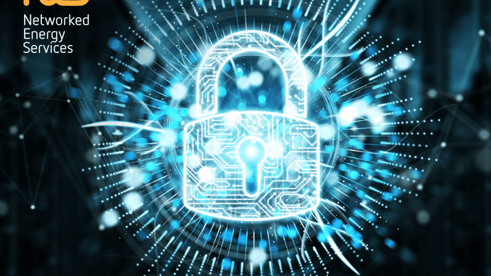 When do you buy a burglar alarm for the smart energy grid?