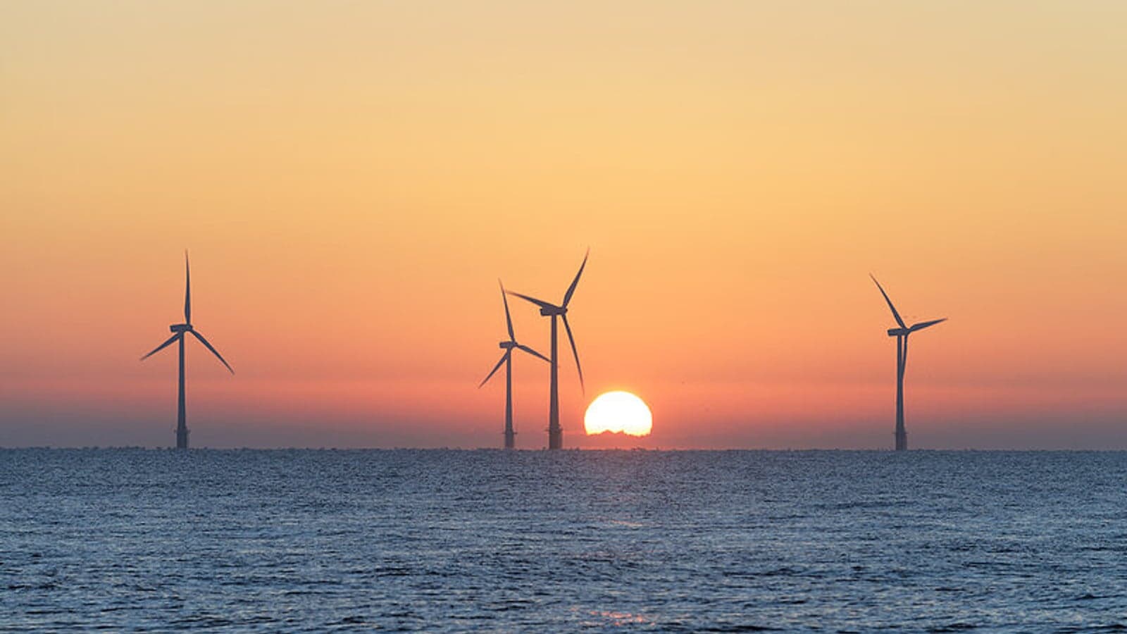 California adopts plan to advance 7.6GW of offshore wind